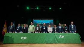 El nuevo Comité Ejecutivo Provincial de Vox en Valencia. EE