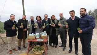 Toni Pérez anima al consumo de la alcachofa de la Vega Baja, "joya y embajadora de nuestra tierra"