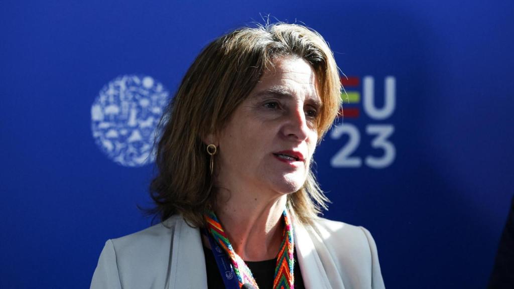 La ministra para la Transición Ecológica, Teresa Ribera, en la COP28 de Dubái.