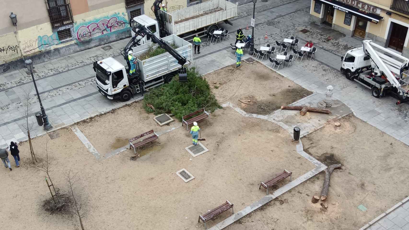 Operarios talando los árboles de la Plaza de las Comendadoras.