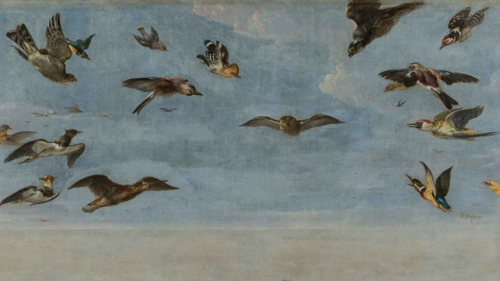 Una obra de Frans Snyders, 'Un mochuelo y multitud de pájaros', en la embajada española en París