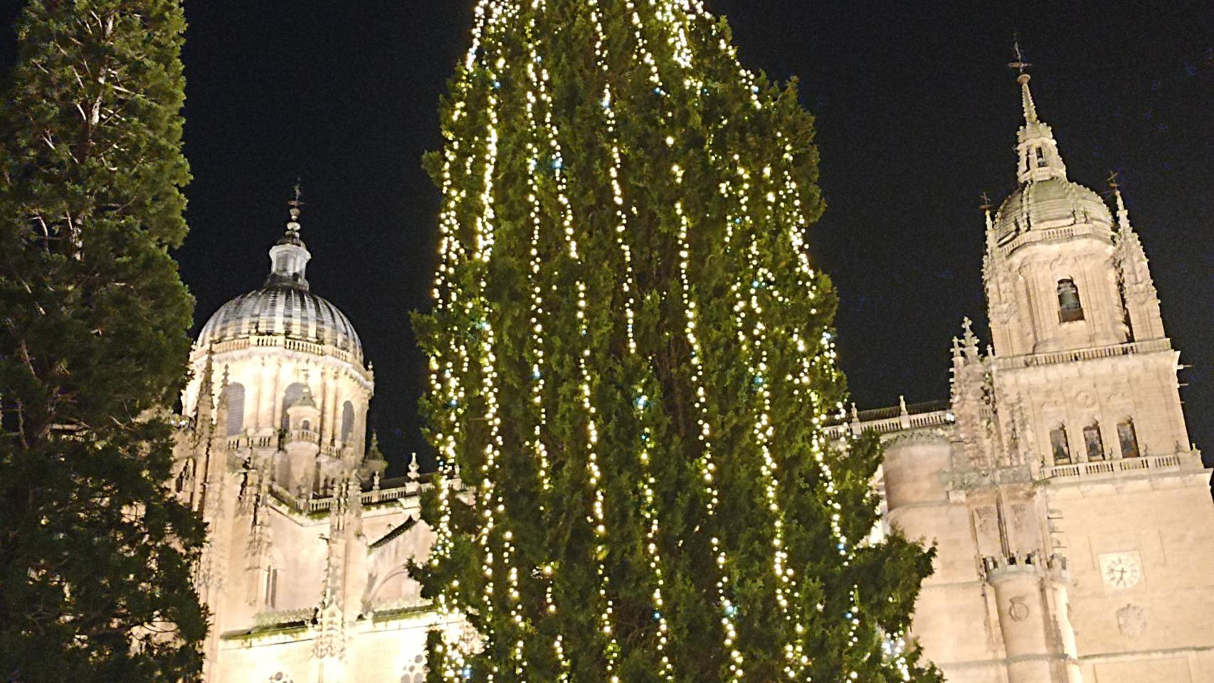 Iluminacion Navidad 2023 Salamanca (7)