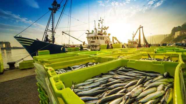 Ni son pescado, ni son mejores