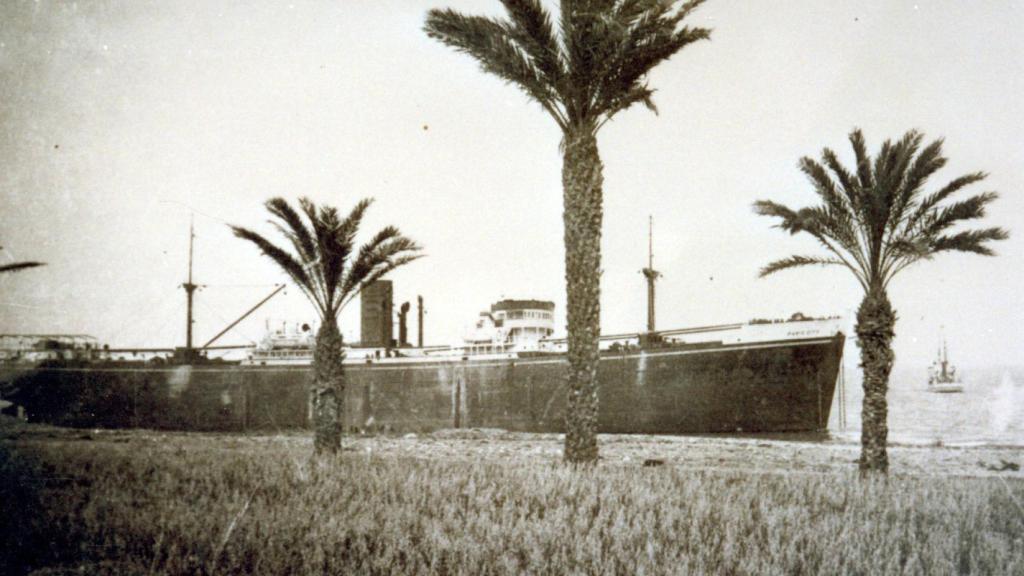 El París City visto desde el palmeral de Ferrís.