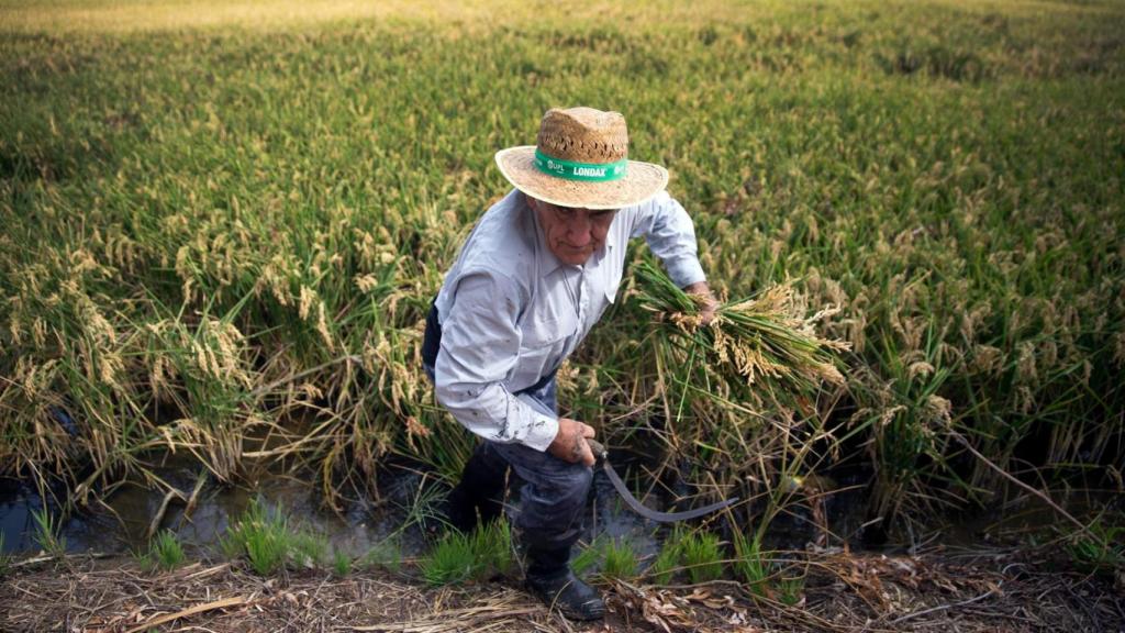 Imagen de un agricultor.