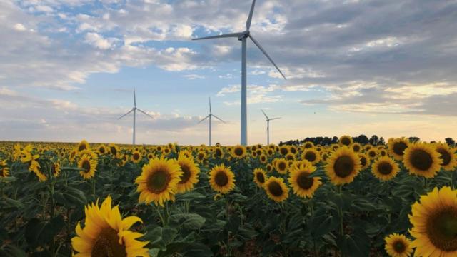 Un parque eólico de Iberdrola.