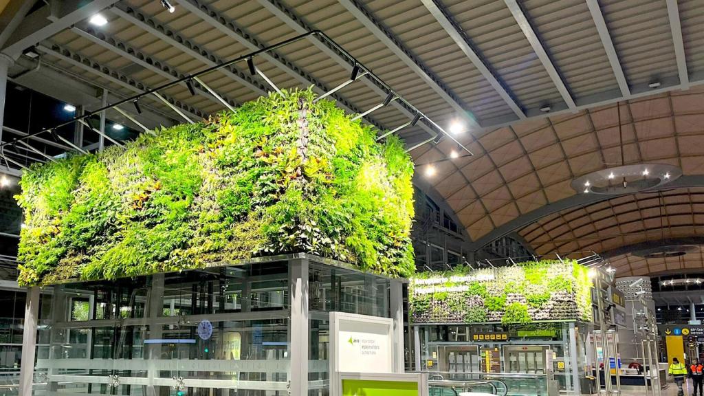 El aeropuerto Miguel Hernández de Alicante-Elche, con los jardines verticales montados este 2023.