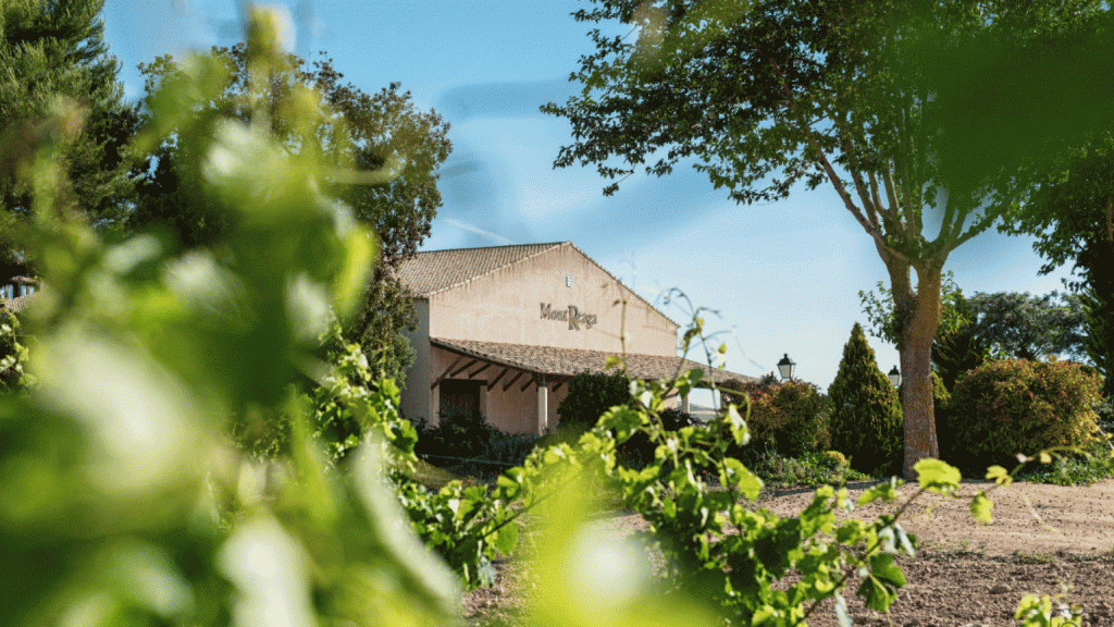 La bodega MontReaga, en Cuenca.