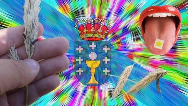 El hongo alucinógeno que convirtió a Galicia en el epicentro de la industria del LSD