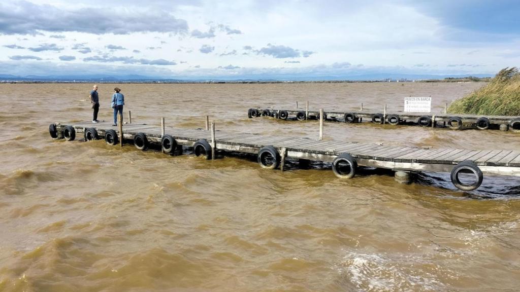 La Albufera de Valencia con el agua marrón. Efe / Eusebio Calatayud