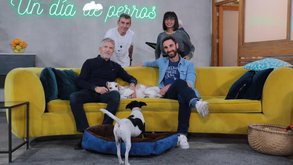 'Un día de perros'.