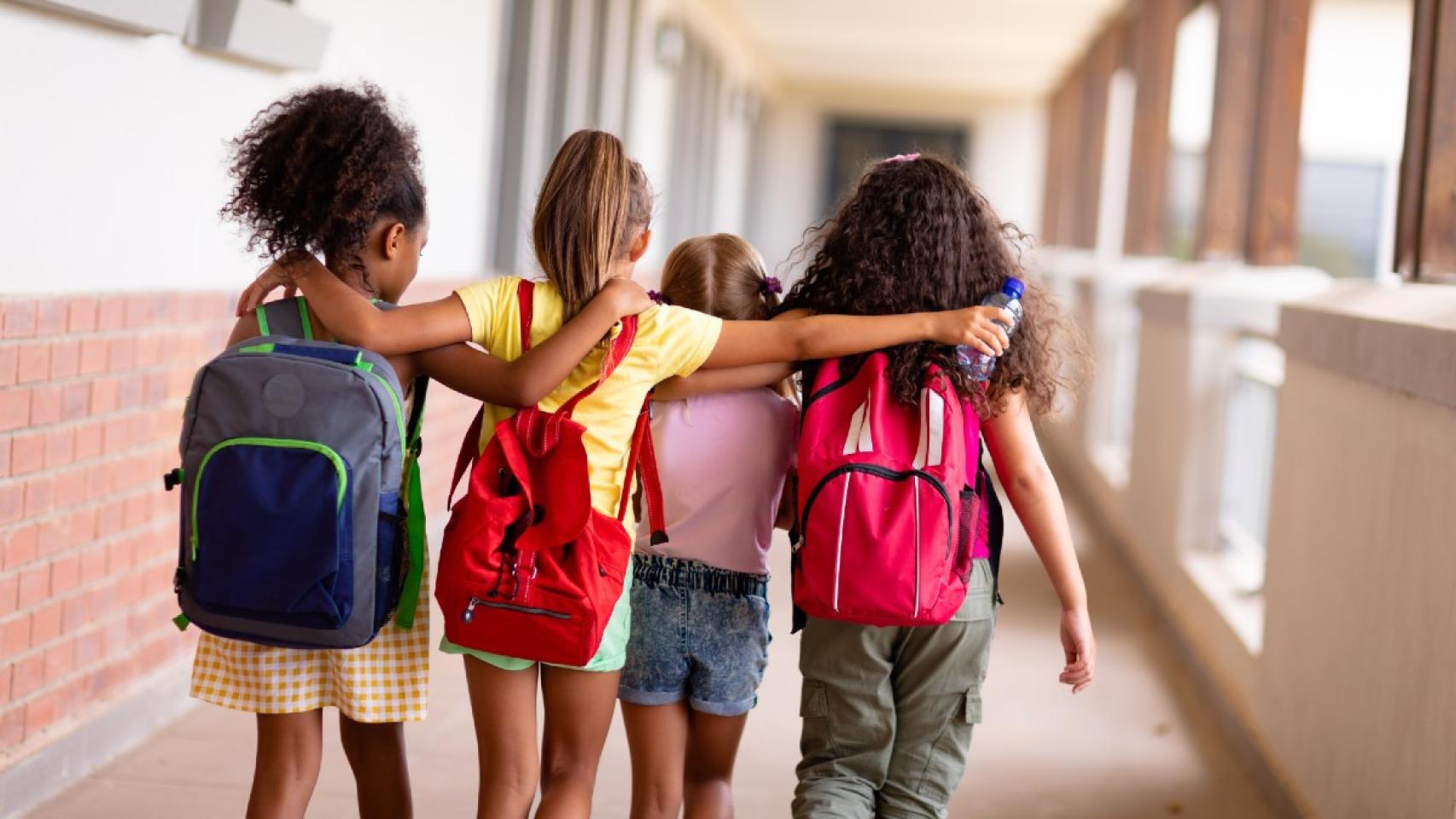 Las 5 mejores mochilas escolares adolescentes grandes 