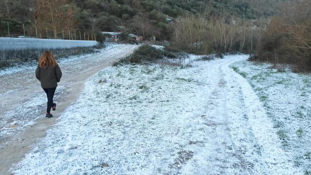 Una intensa helada en Castilla y León
