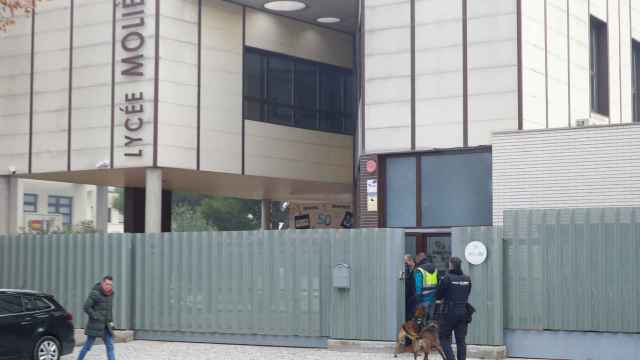 Miembros de la Policía Nacional entran al Liceo francés Molière (Zaragoza) acompañados por perros especializados en la detección de dispositivos.
