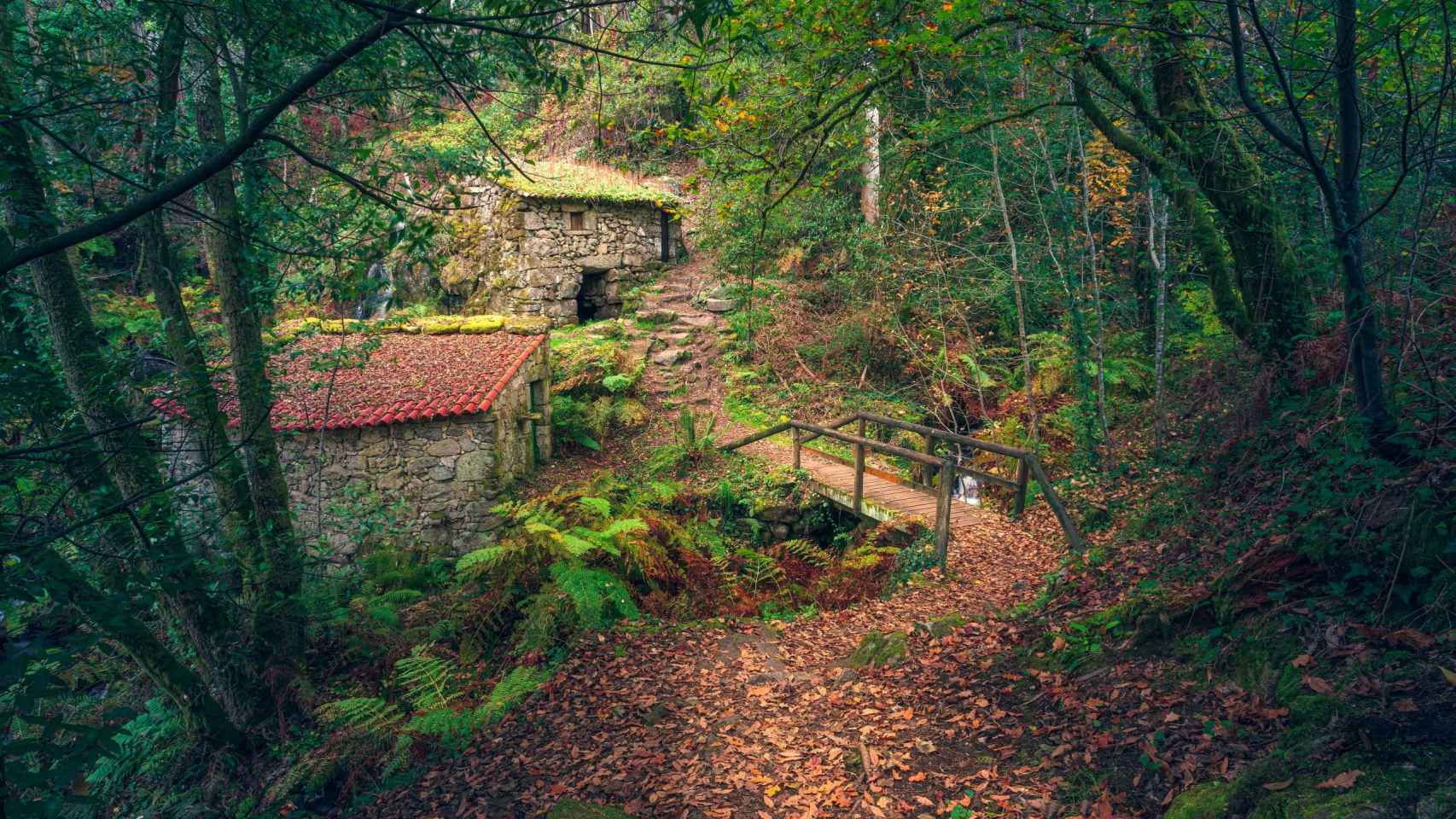 Camino de los molinos de Tripes.