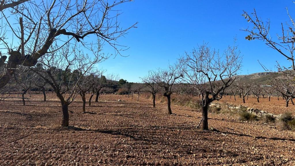 Parcela afectada por el proyecto.