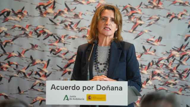La ministra de Transición Ecológica y Reto Demográfico, Teresa Ribera, el día que presentó el plan de Doñana acordado con la Junta de Andalucía.