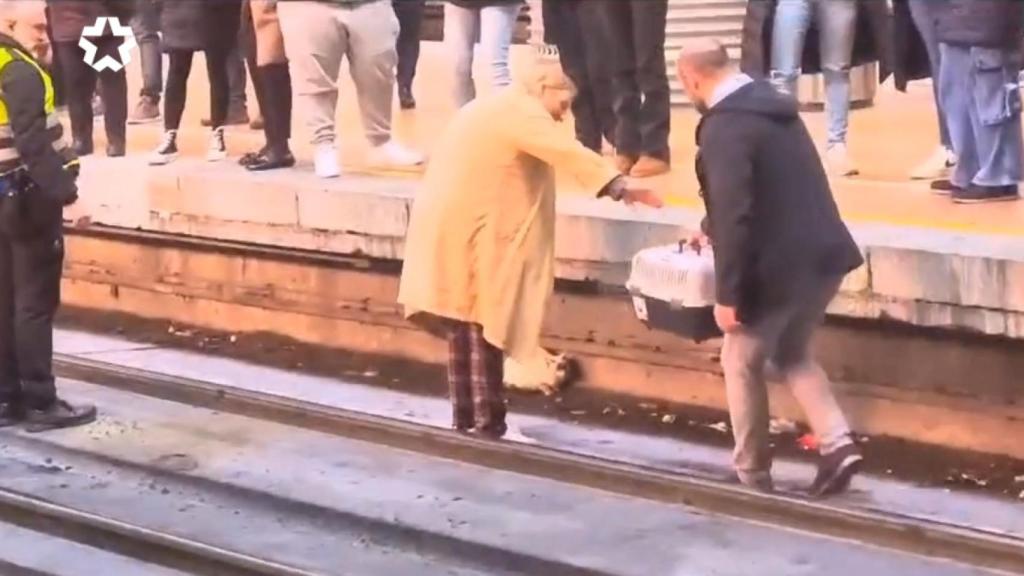 La dueña del gato, en las vías de Atocha, intentando coger al animal.