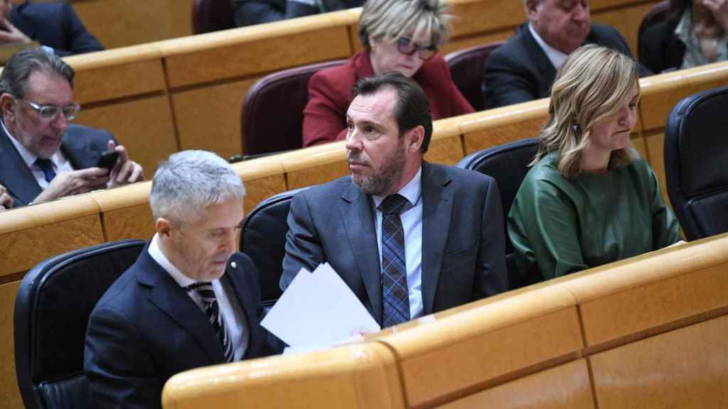 El ministro de Transportes, Óscar Puente, en el Senado.