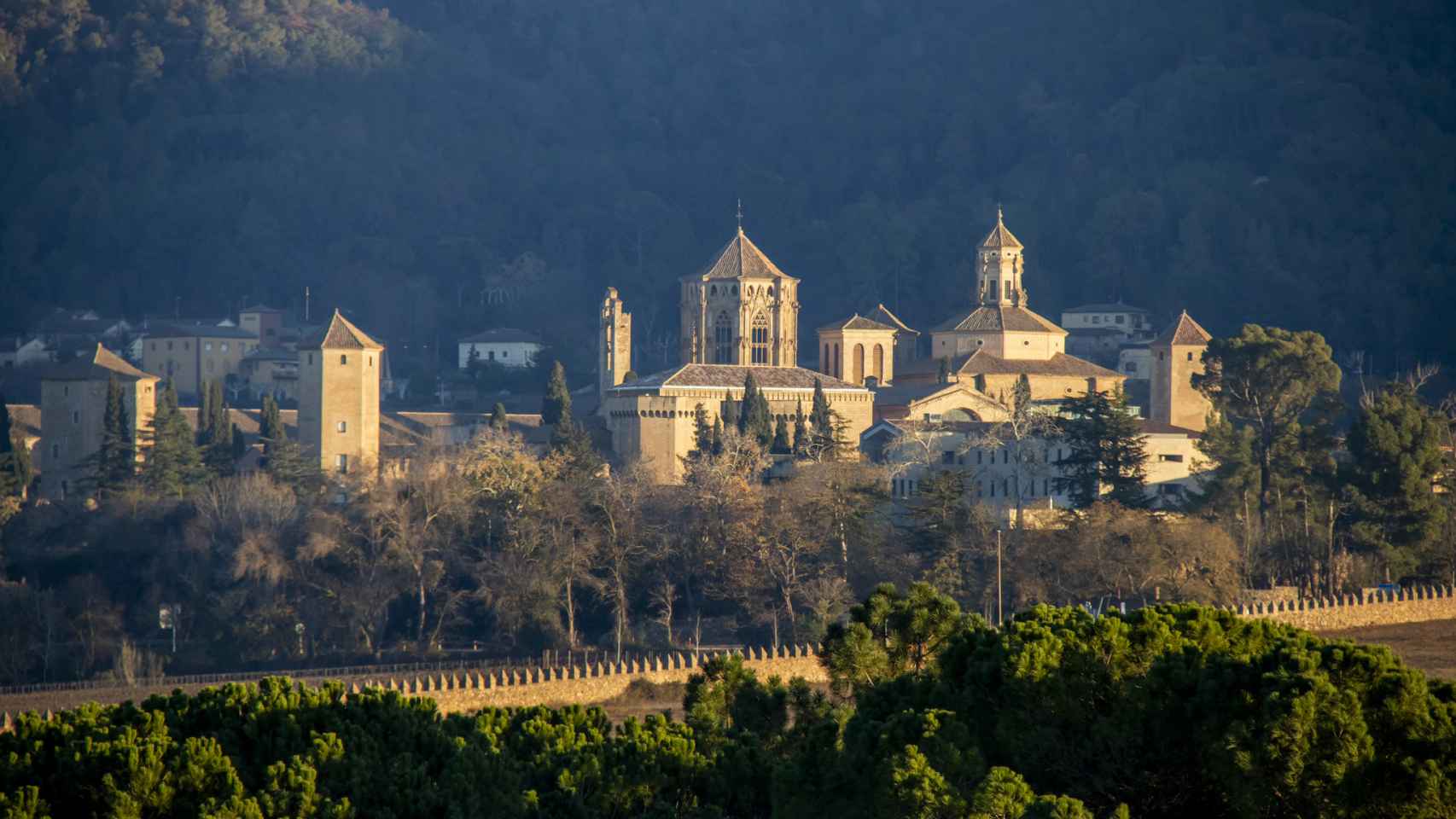 Vista del monasterio de Santa María de Poblet desde un mirador del municipio de Vimbodí.