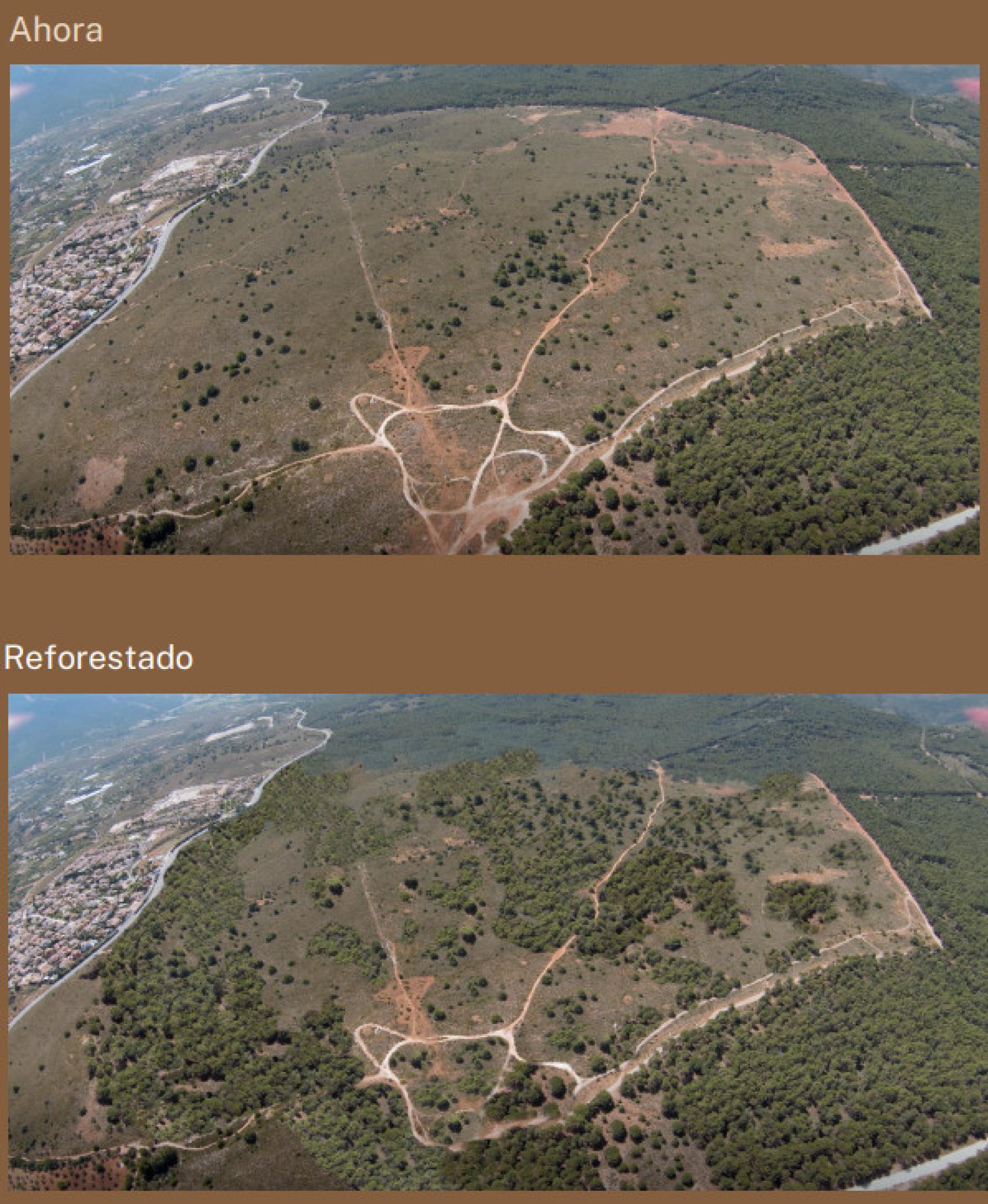 Antes y después de la reforestación contemplada.