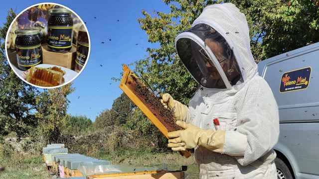 Raquel Dávila, la apicultora que hace la mejor miel de España en un pueblo de León