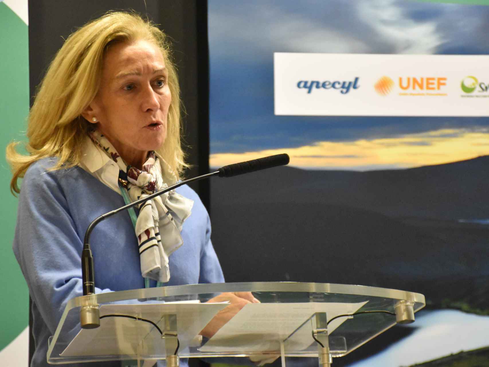 Cristina Torres-Quevedo, directora financiera y de regulación de UNEF