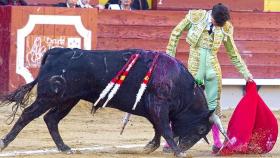 Daniel Medina toreando al natural en una de sus actuaciones de 2023.