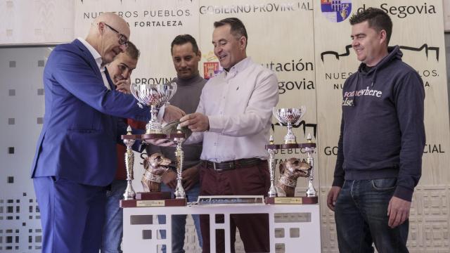 La Diputación de Segovia presenta la I Copa de Galgos