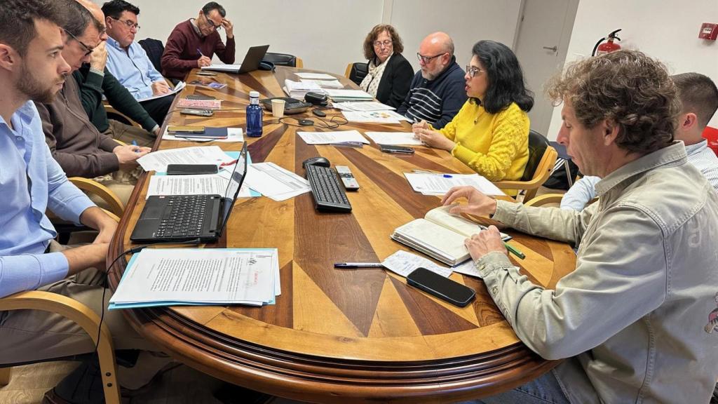 Comisión de Igualdad. Foto: Ayuntamiento de Toledo.