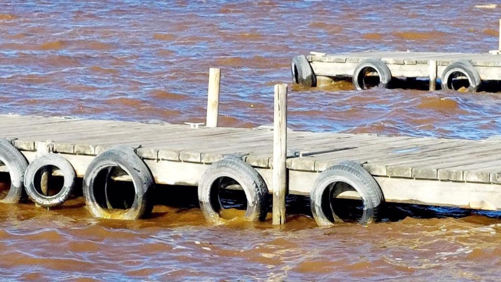 Imagen de L'Albufera de Valencia. Europa Press