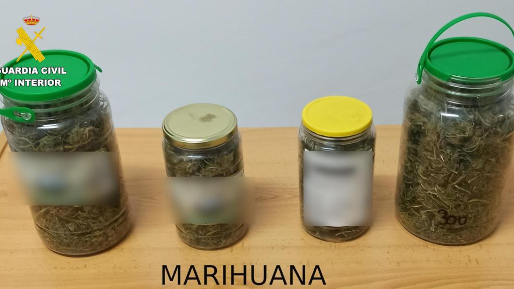 Marihuana incautada.