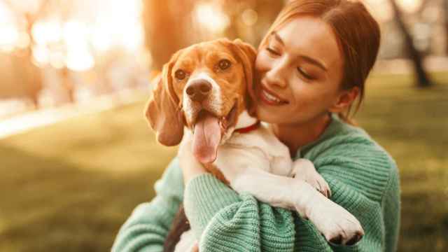 Imagen de una mujer abrazando a un perro beagle en el parque