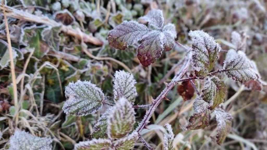 Castilla-La Mancha protagoniza el podio del frío este miércoles con más de 9 grados bajo cero