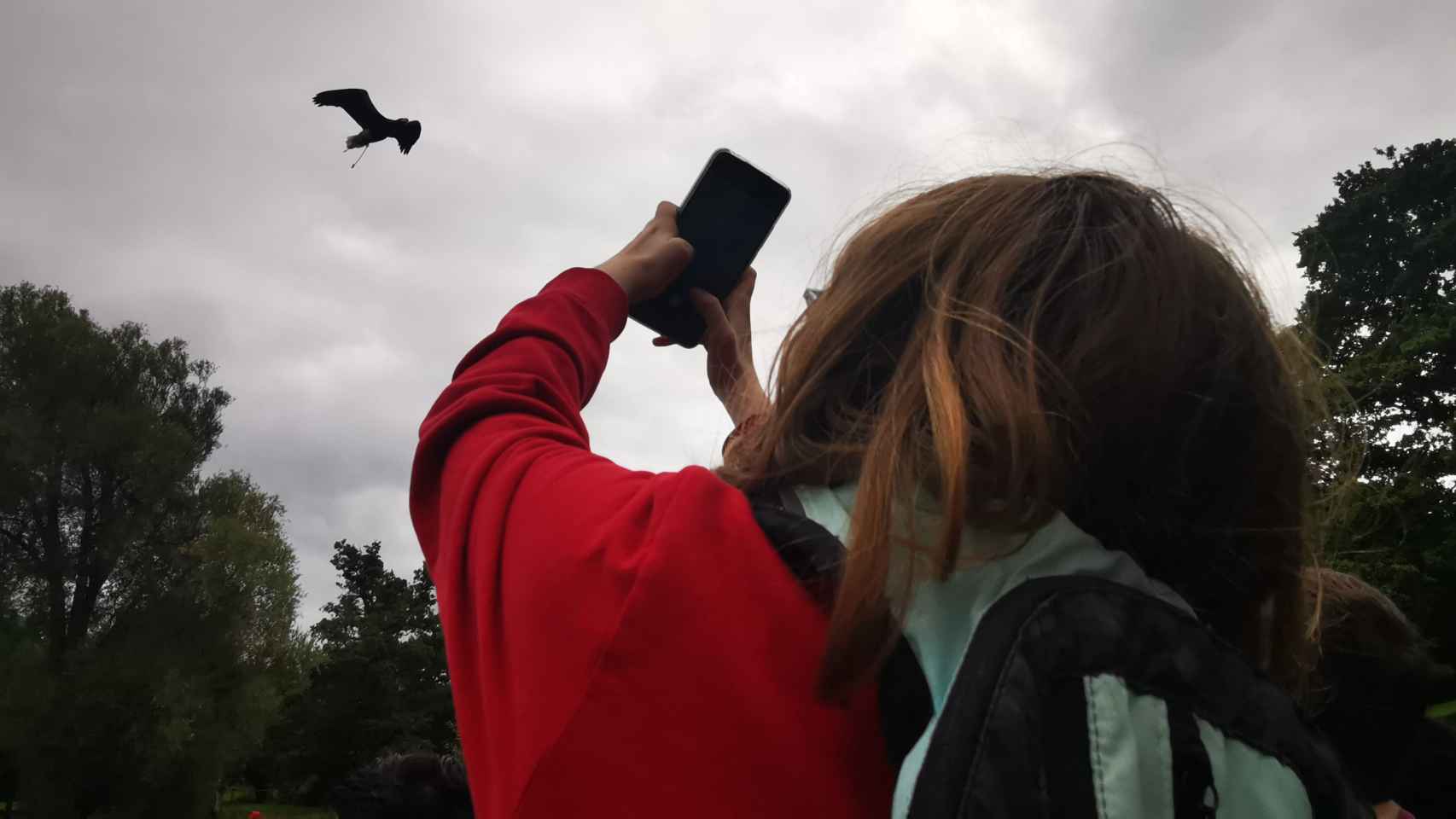 Cova, de 13 años, fotografiando un ave rapaz.