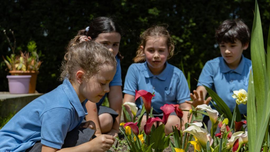 Colegio Vizcaya (Zamudio)