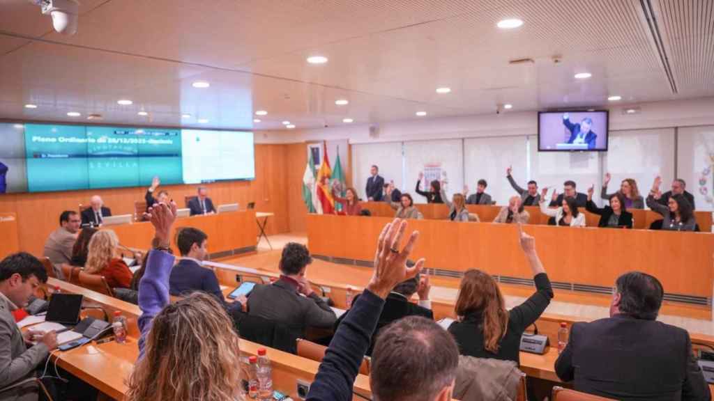 El Pleno de la Diputación vota el Presupuesto de 2024.
