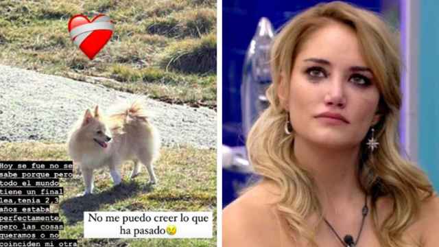Alba Carrillo en una imagen televisiva y la historia de su perrita que ha subido a Instagram.
