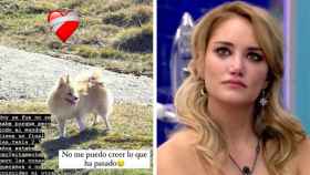 Alba Carrillo en una imagen televisiva y la historia de su perrita que ha subido a Instagram.
