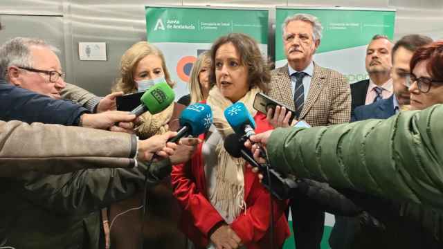 La consejera de Salud andaluza, Catalina García, atendiendo a la prensa.