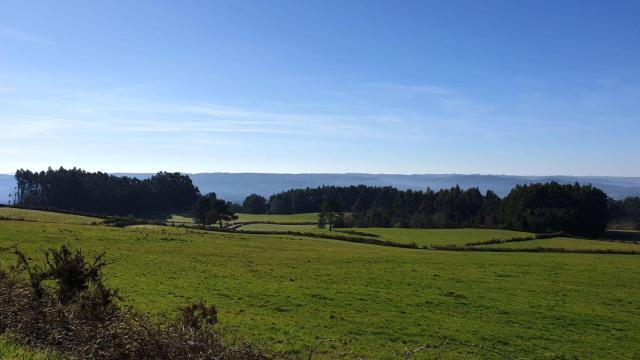 Un paisaje en Paderne