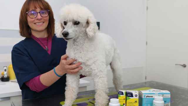 La veterinaria Marian Belloso en su clínica junto a un paciente y diversos suplementos alimenticios que evitan el estrés animal