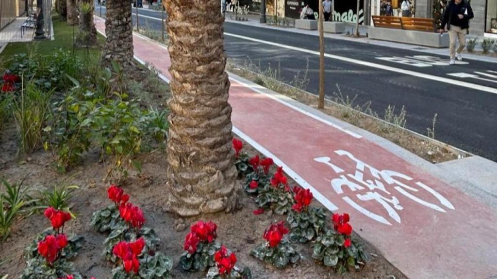 Uno de los carriles bici en la Avenida Federico Soto.