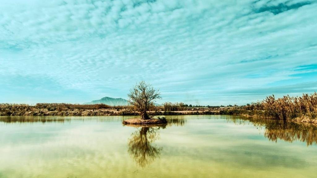 Centro de Interpretación Parque Natural El Hondo.