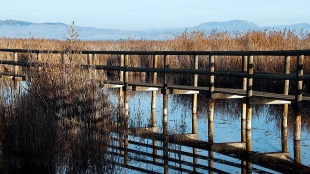Uno de los embalses del Parque Natural del Hondo