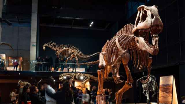 Exposición 'Dinosaurios de la Patagonia' en el Museo de la Ciencia CosmoCaixa, en Barcelona.