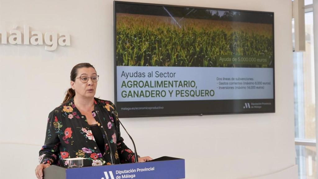 La diputada de Desarrollo Económico Sostenible, Esperanza González.