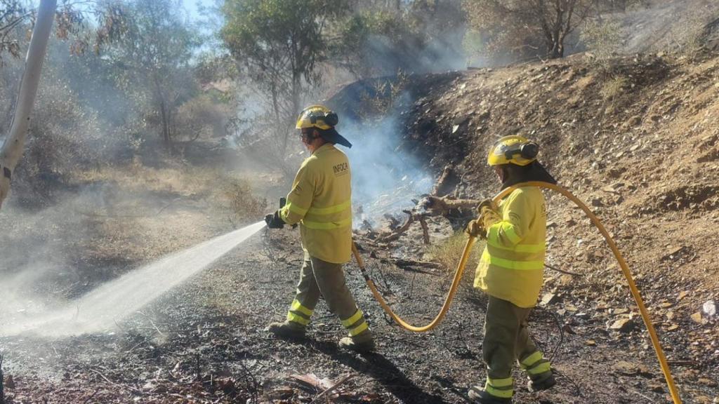 Trabajos en la zona afectada.