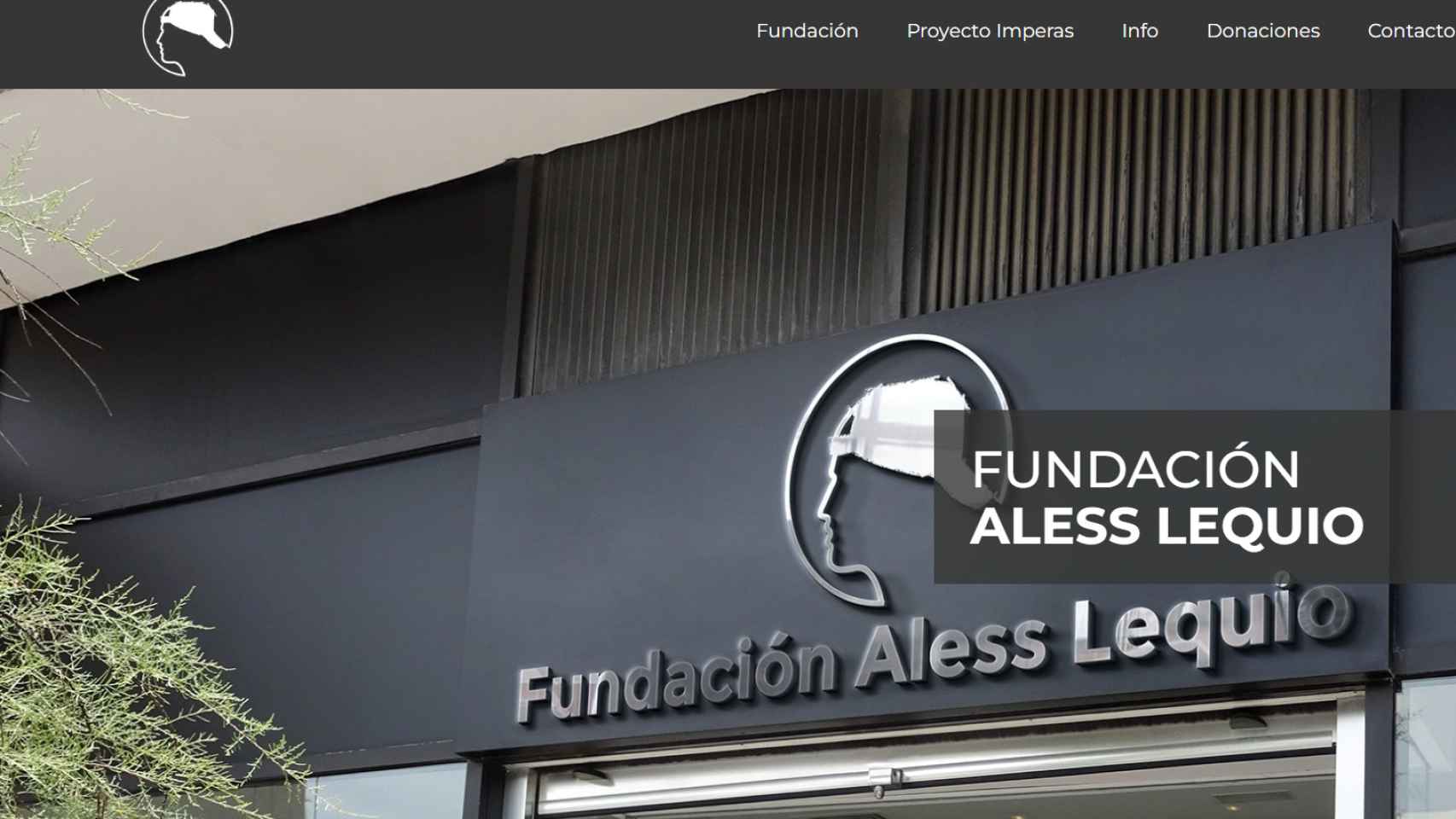 La imagen que preside la página web de la Fundación Aless Lequio.