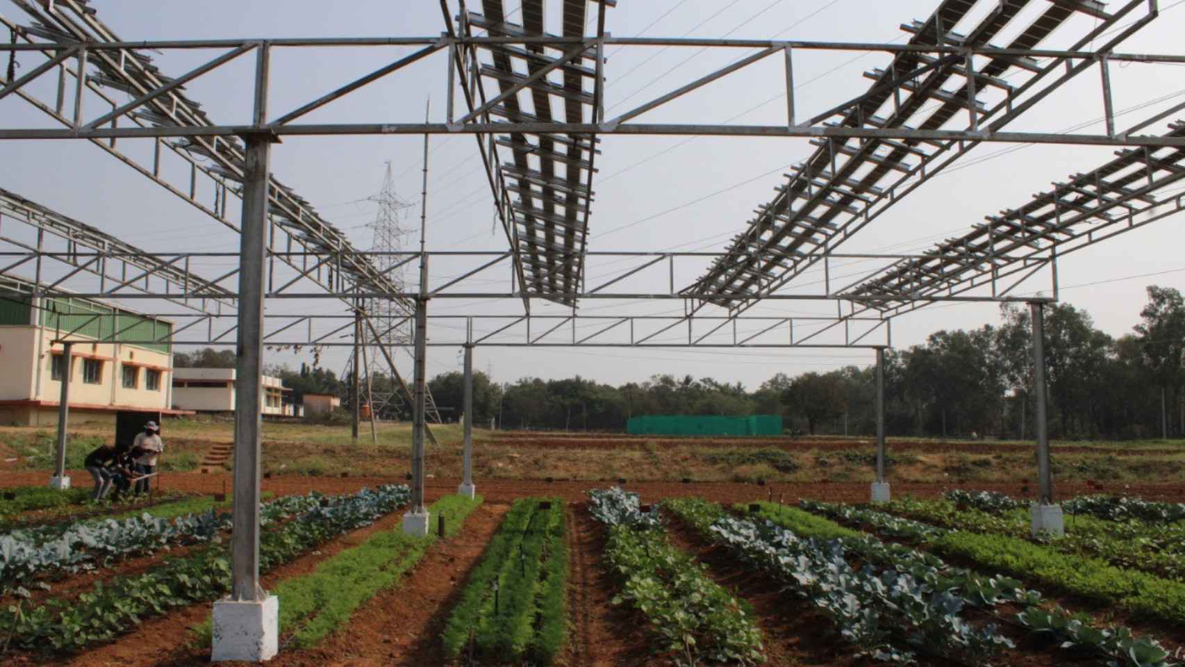 Proyecto piloto de agrovoltaica en Telangana